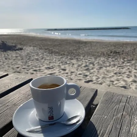 Soleil Des Marquises Frontignan