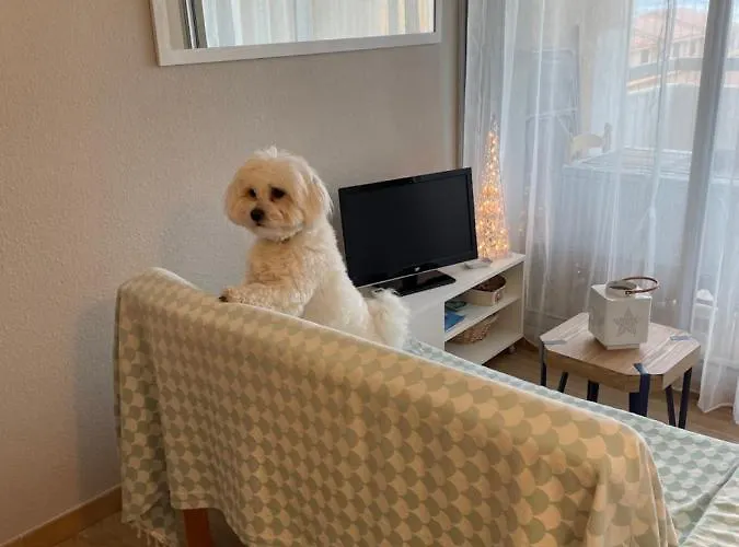 Appartamento Soleil Des Marquises Frontignan