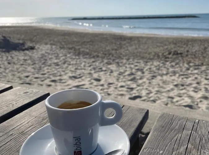 Soleil Des Marquises Frontignan